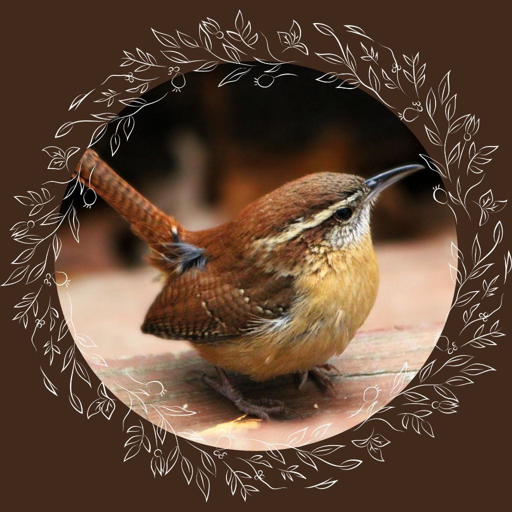 Orpheus Wren's Writings